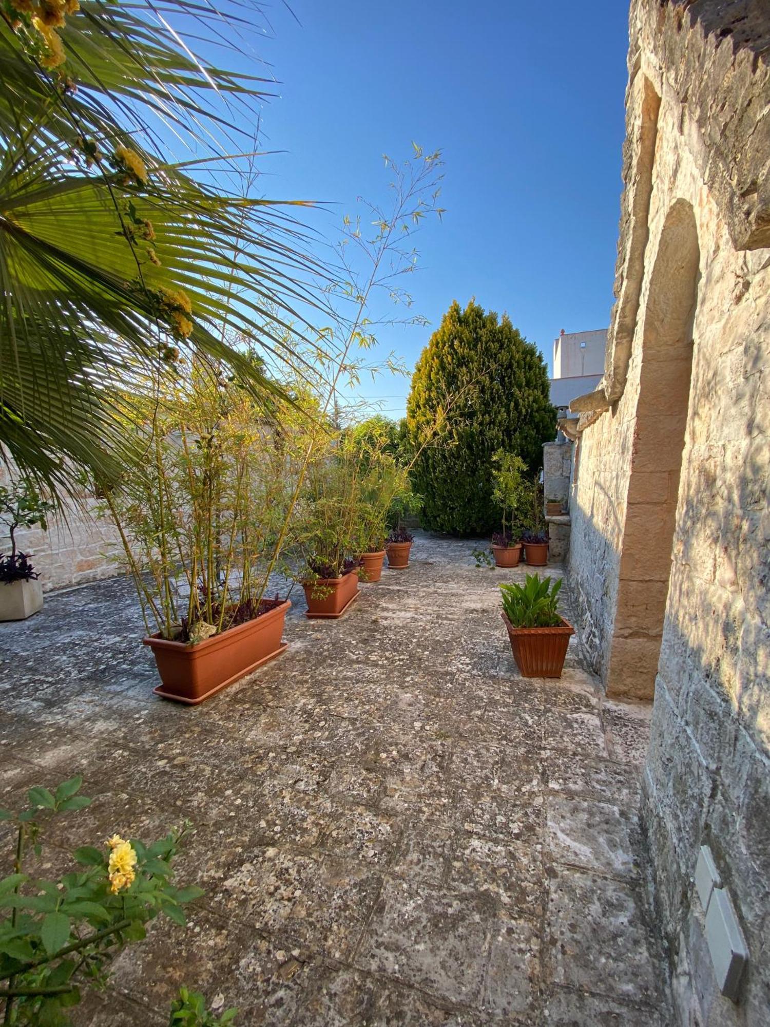 Trulli And Nature Antonelli Pokój zdjęcie