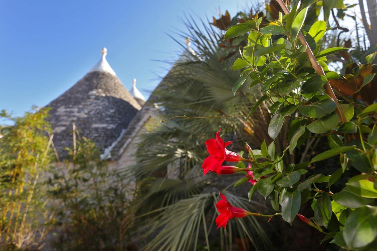 Trulli And Nature Antonelli Zewnętrze zdjęcie